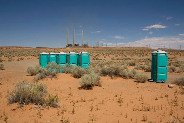 Best Root Management and Removal  in Fort Belknap Agency, MT